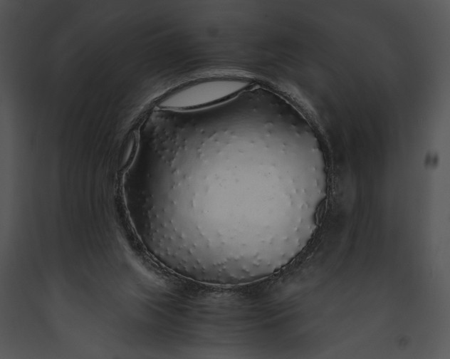 X0000091180063200708301225