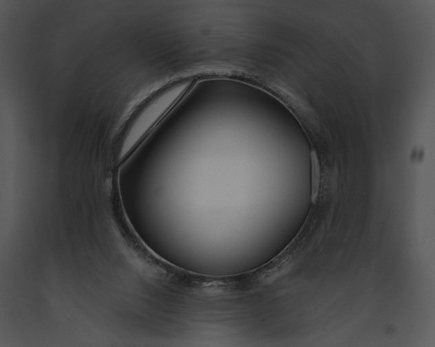 X0000091180064200708301225