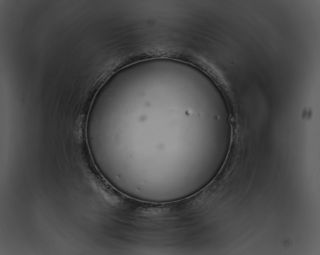 X0000091180065200708301225