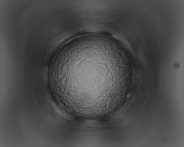 X0000091180066200708301225