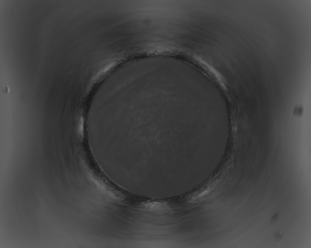 X0000091180067200708301225
