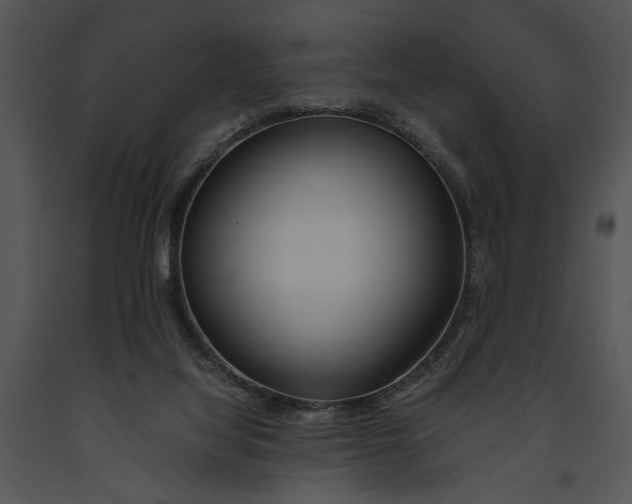 X0000091180068200708301225