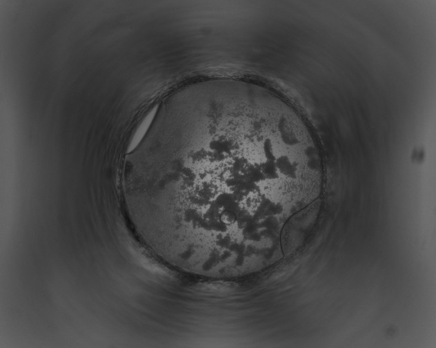 X0000091180069200708301225