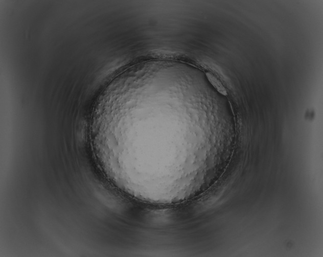 X0000091180071200708301225