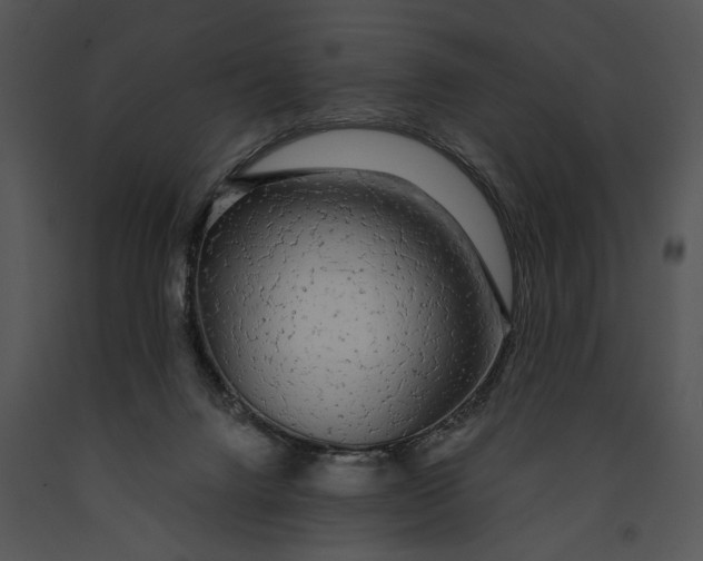 X0000091180072200708301225