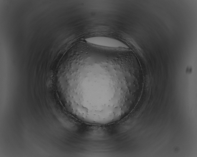 X0000091180073200708301225