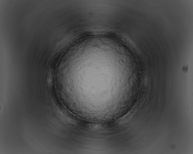 X0000091180074200708301225