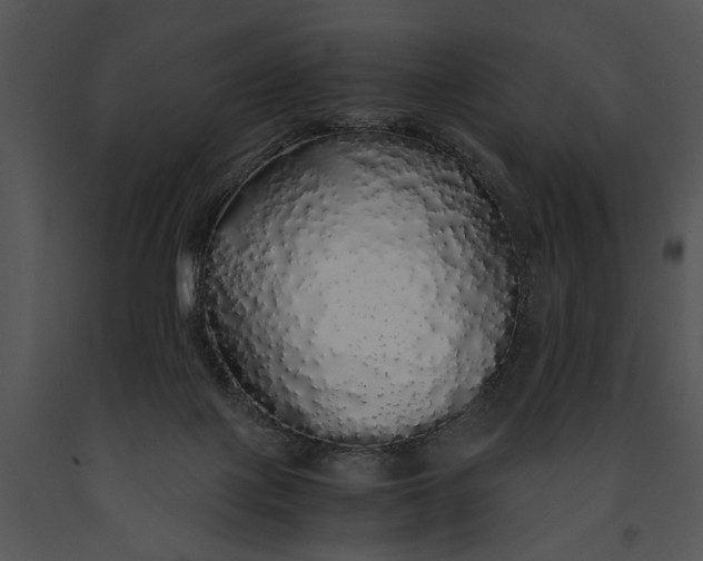 X0000091180075200708301225