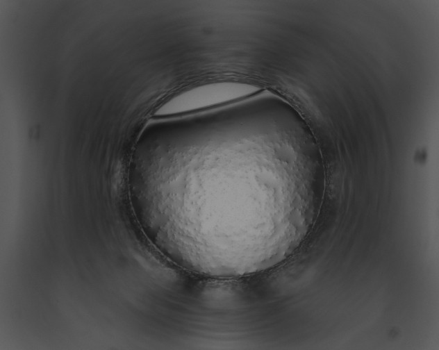 X0000091180077200708301225
