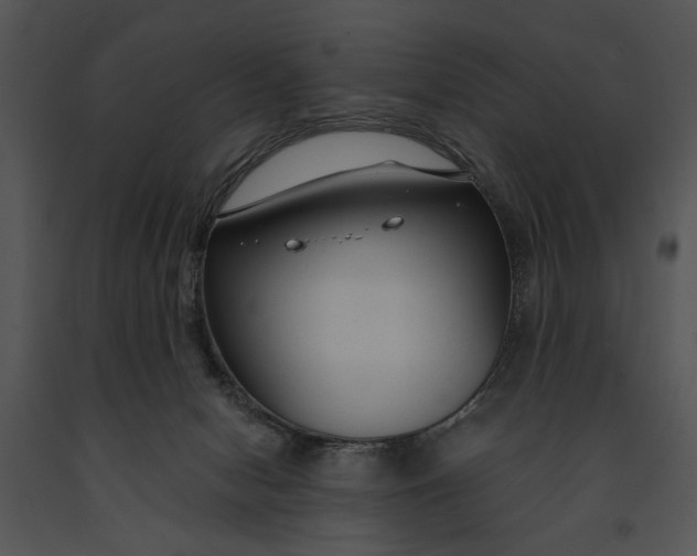 X0000091180078200708301225