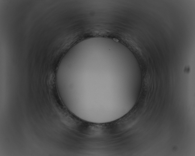 X0000091180079200708301225