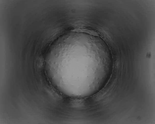 X0000091180081200708301225
