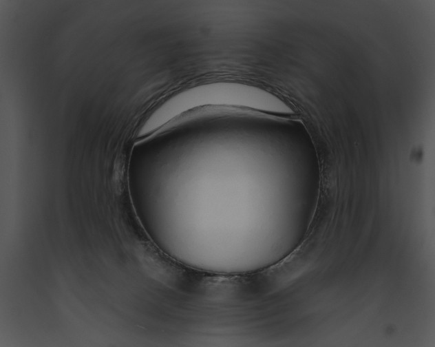 X0000091180082200708301225