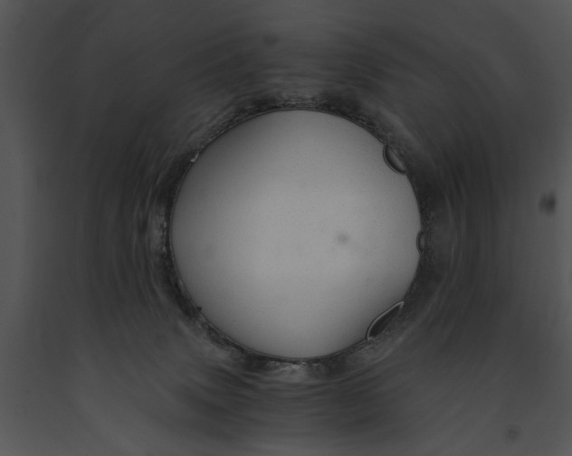 X0000091180083200708301225