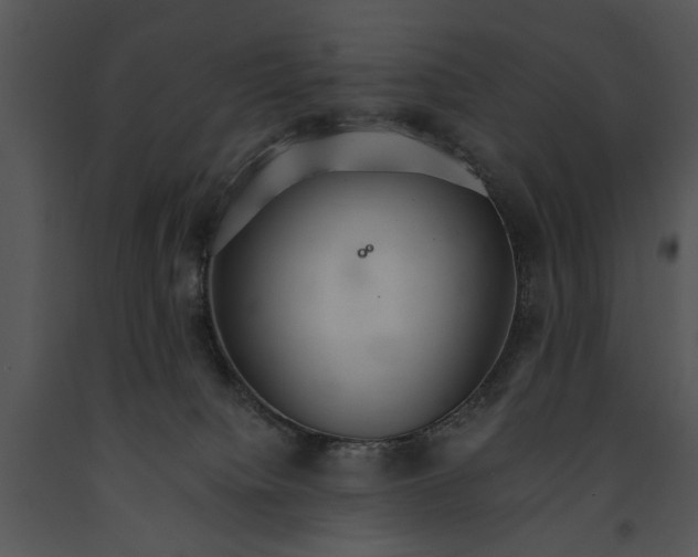 X0000091180084200708301225