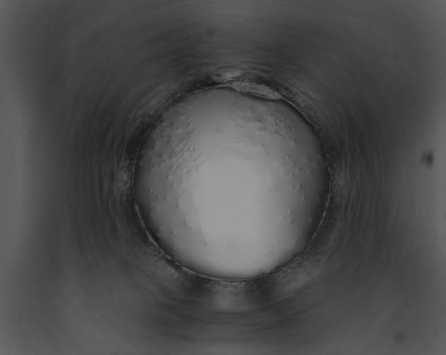 X0000091180085200708301225