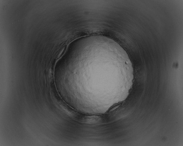 X0000091180087200708301225