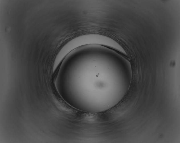 X0000091180088200708301225
