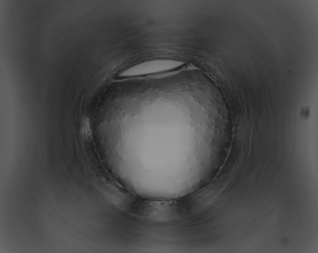 X0000091180089200708301225
