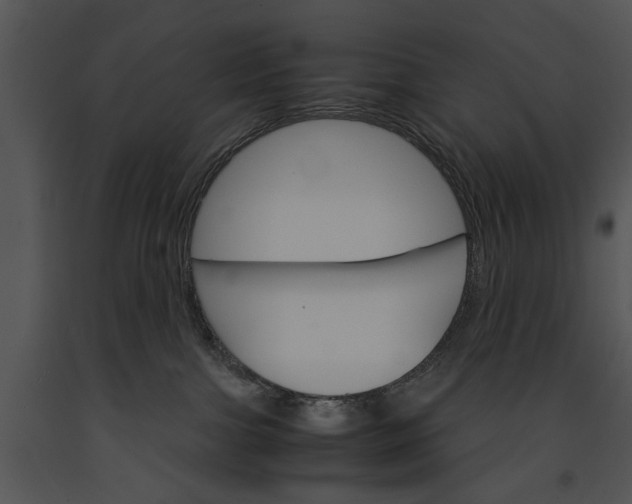 X0000091180091200708301225