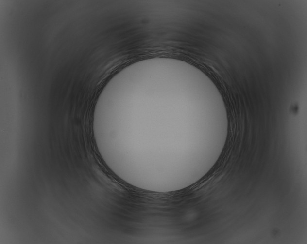 X0000091180092200708301225