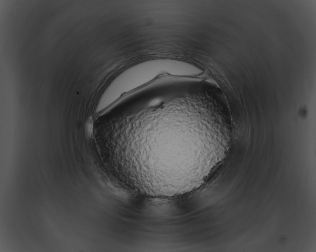 X0000091180095200708301225