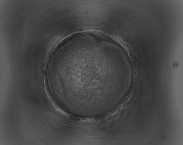 X0000091180097200708301225