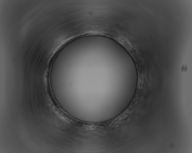 X0000091180098200708301224