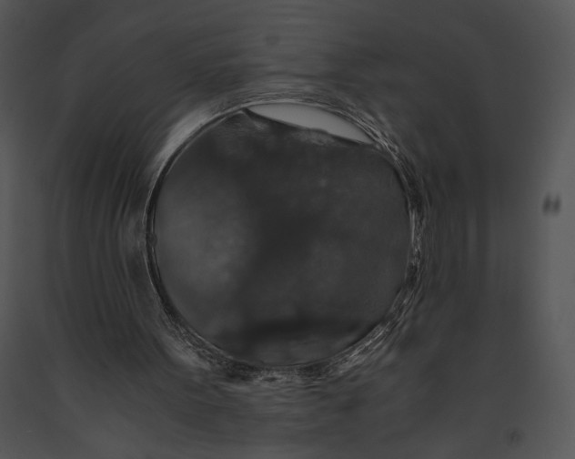 X0000091180099200708301224