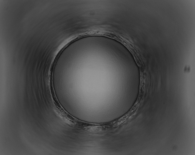 X0000091180100200708301224