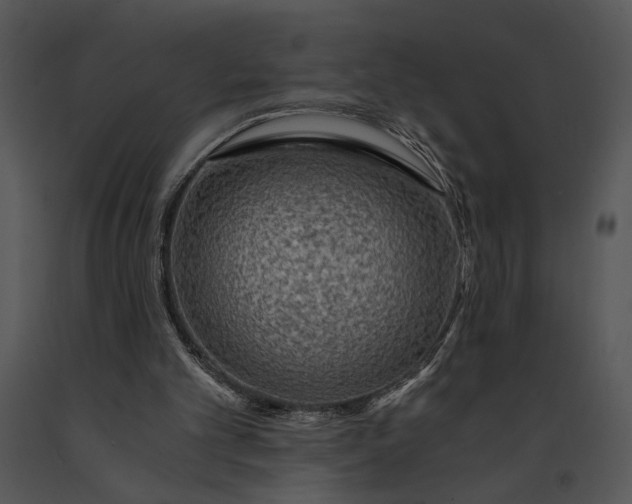 X0000091180101200708301224