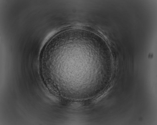 X0000091180102200708301224