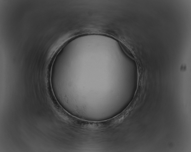 X0000091180103200708301224
