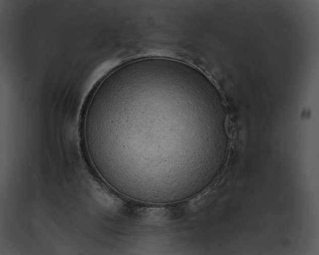 X0000091180104200708301224
