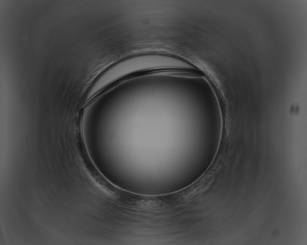 X0000091180105200708301224