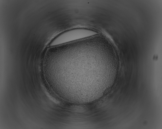 X0000091180106200708301224