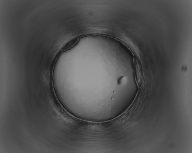 X0000091180107200708301224