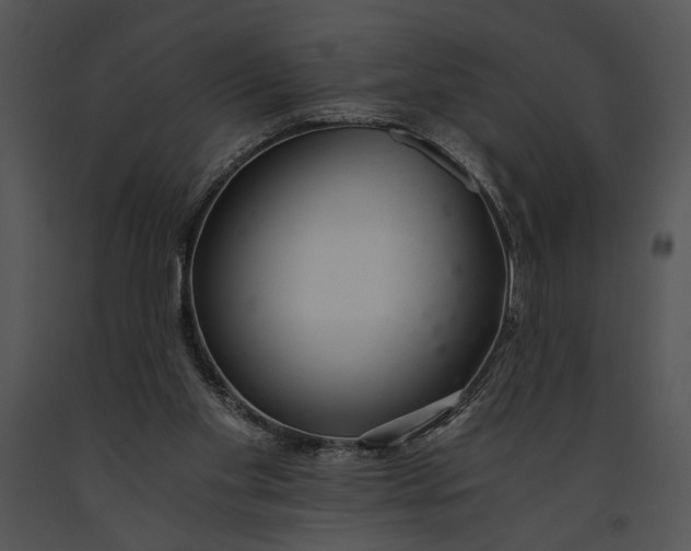 X0000091180109200708301224