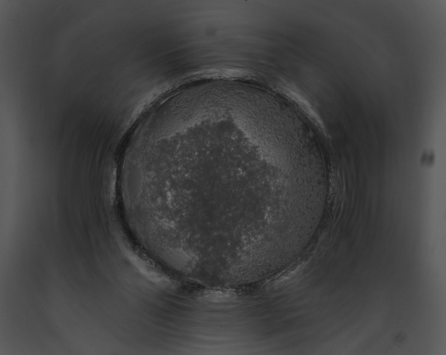 X0000091180110200708301224