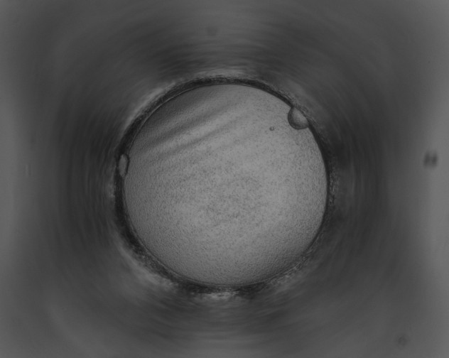 X0000091180112200708301224