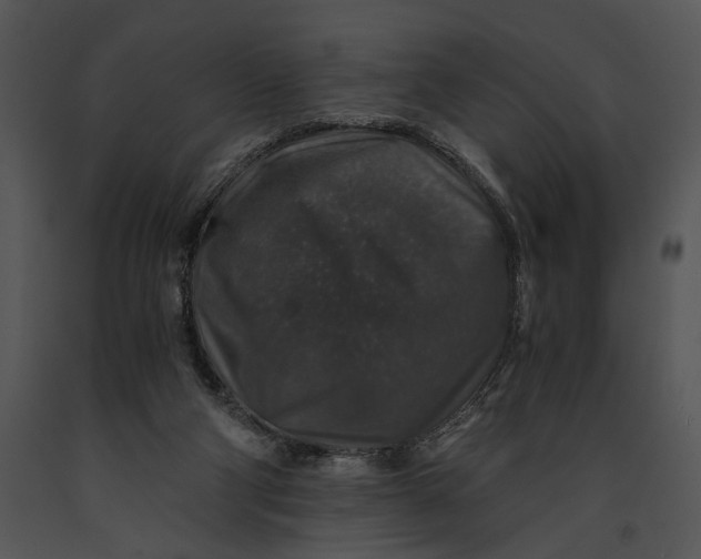 X0000091180114200708301224
