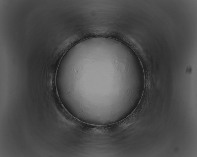 X0000091180115200708301224
