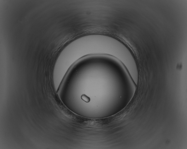 X0000091180117200708301224