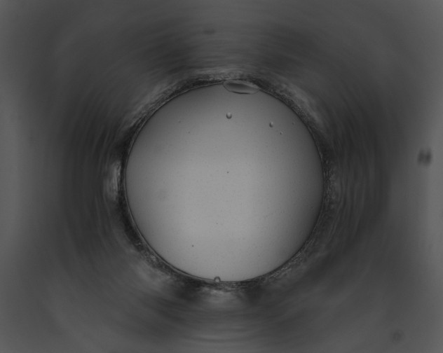 X0000091180118200708301224