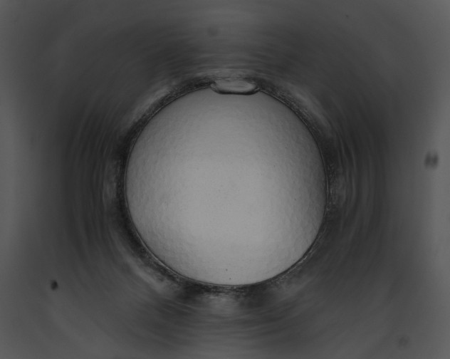 X0000091180120200708301224