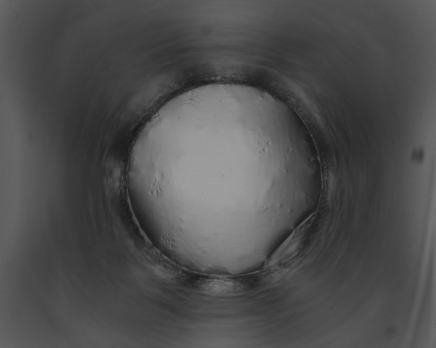 X0000091180123200708301224