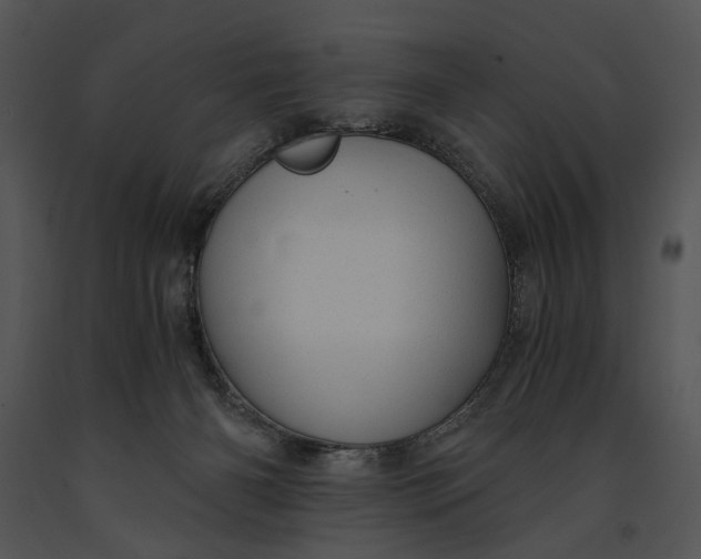 X0000091180126200708301224
