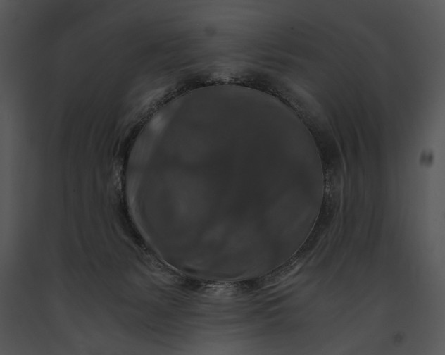X0000091180127200708301224