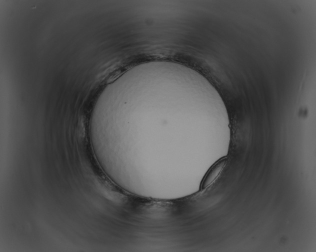 X0000091180128200708301224