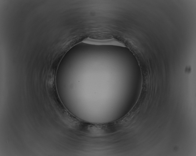 X0000091180129200708301224
